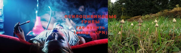 спайс Алзамай